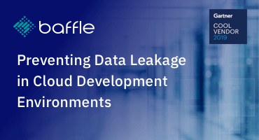 preventing data leakage inc loud development environments